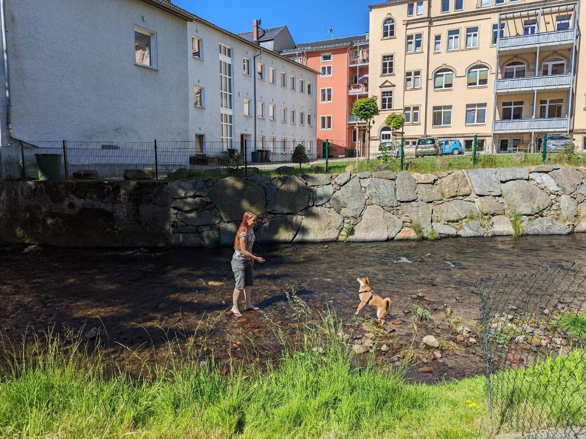 Zi1 - Urlaubsmagie - Erholung Mit Whirlpool & Sauna Appartement *