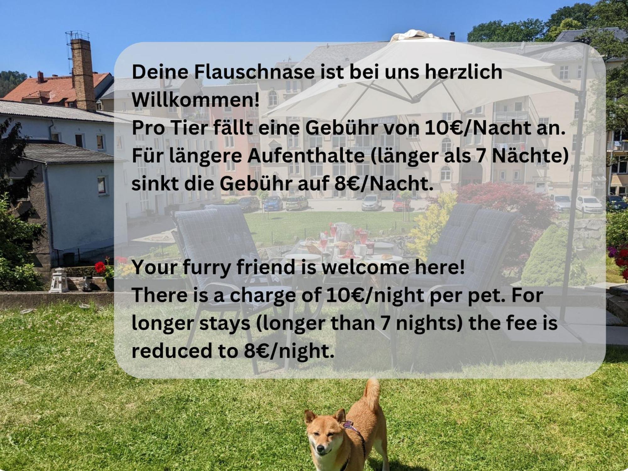 Zi1 - Urlaubsmagie - Erholung Mit Whirlpool & Sauna Appartement Sebnitz